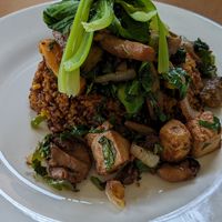 Jollof rice tatale style with tofu, mushrooms and pakchoi at Tatale Vegan Restaurant in Accra