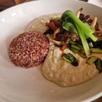 Mushroom stroganoff is excellent and generous at Tatale Vegan Restaurant in Accra