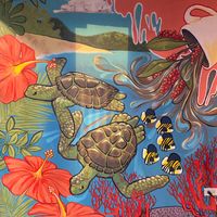 Beautiful interior inside Culebra Coffee. at Culebra Coffee in Culebra