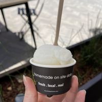 lemon kids scoop of gelato   at Bottega Italiana in San Diego