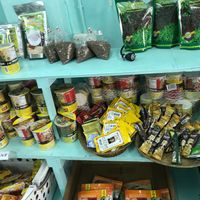 Canned vegan food or even vegan instant noodle  at Aharn Jay Bangkhunsri  in Bangkok