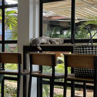   at Bubba's - Had Yao in Koh Phangan