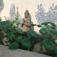 Nice garden at Secret Garden in Ho Chi Minh City