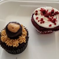 Buckeye & red velvet cupcakes at 4th & State in Columbus