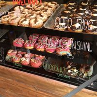 Selection of premium doughnuts at Doughnotts in Lincoln