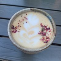  at Bearcat Cafe - CBD in New Orleans