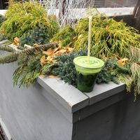 "The Professional" made-to-order juice. at Juice Generation - 9th Ave in New York City