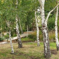 Beautiful spaces to sit at Loira Vines in Loira