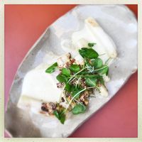   at Leuchtendroter in Frankfurt