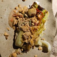  at Leuchtendroter in Frankfurt