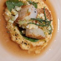  at Leuchtendroter in Frankfurt