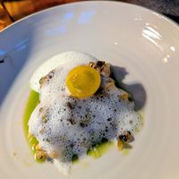  at Leuchtendroter in Frankfurt