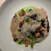   at Leuchtendroter in Frankfurt