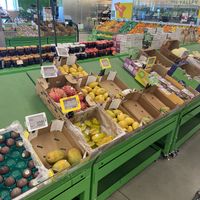 Fresh Produce at 365 by Whole Foods Market in Decatur