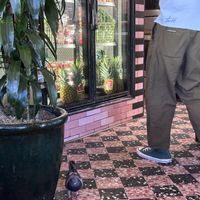   at Morning Glory in San Diego