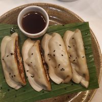 Vegetable gyozas at UDON in Churra