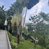   at Kapuhala Koh Samui in Koh Samui