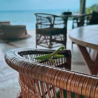 Cute creatures everywhere you lookk  at Kapuhala Koh Samui in Koh Samui