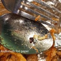  at Botanict 豐之素 in West Singapore