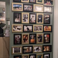  at Kattencafé Sophie in Leiden