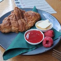  at Kattencafé Sophie in Leiden