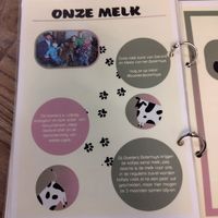  at Kattencafé Sophie in Leiden