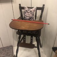 Cutest café in Leiden. Kindest crew. Lots of choices on the card. All very worth the money. Delightfully Vegan, veggie options.  at Kattencafé Sophie in Leiden