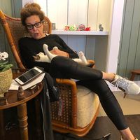 Cuddle cats from Crete..  at Kattencafé Sophie in Leiden