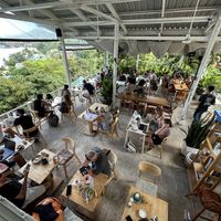   at What's Cup! in Koh Phangan