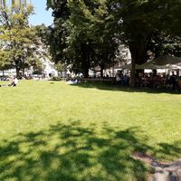 Park across at meinRad - Zentralstrasse - Food Truck in Luzern
