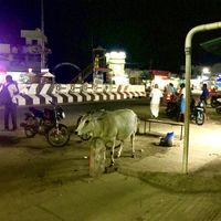In front of Vaigai  at Vaigai in Koot Road