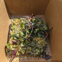 Avocado toast at Arcadia Coffee in Fort Worth