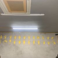  #Veganuary at Furahaa - Vegan in Paris