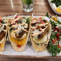 All you can eat breakfast tacos!!!! at Truth & Tonic in Las Vegas