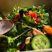 Side salad at Truth & Tonic in Las Vegas