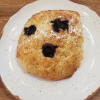 Blueberry scone at Truth & Tonic in Las Vegas