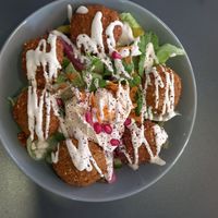 falafel piatto 9€ at Veggie Box in Tubingen