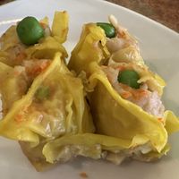 Steamed dumplings  at Loma House Vegetarian Express in Edmonton
