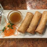 Spring rolls at Loma House Vegetarian Express in Edmonton