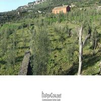 The farm at Fontana del Cherubino in Santa Maria Di Licodia