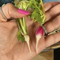 Adorably cute!!  at Les Filles Cafè in Barcelona