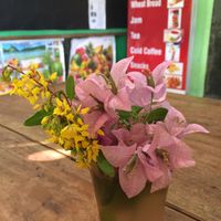 Good Earth at Good Earth in Kuilapalayam