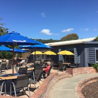 Beachside terrace  at Beach Cafe and Bar in Nelson