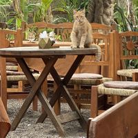   at Yasmina's Itzalanyasayan in San Francisco