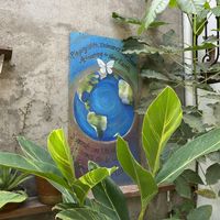   at Yasmina's Itzalanyasayan in San Francisco