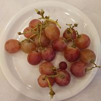  at Vakhos Taverna - Βάκχος Ταβέρνα in Delphi