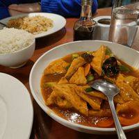 Tofu in spicy homemade sauce with boiled rice at M&L Chinese in Dublin