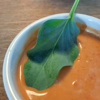 Gazpacho with oysterleaf. at Bellies in Stavanger