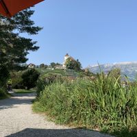 View of the lake at Galerie am See in Buchs