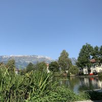 Lake view at Galerie am See in Buchs